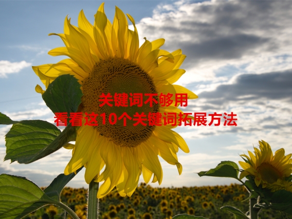 關鍵詞不夠用，看看這10個關鍵詞拓展方法！